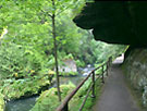 Die wilde Klamm (CZ) -zum Vergrern anklicken-